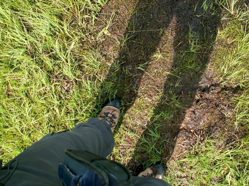 090610_PICT0094.JPG