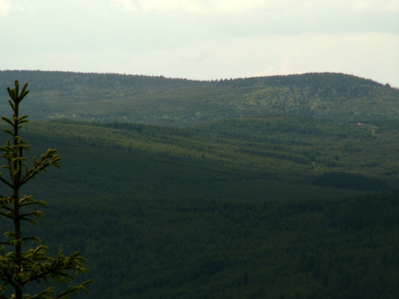 090610_PICT0101.JPG