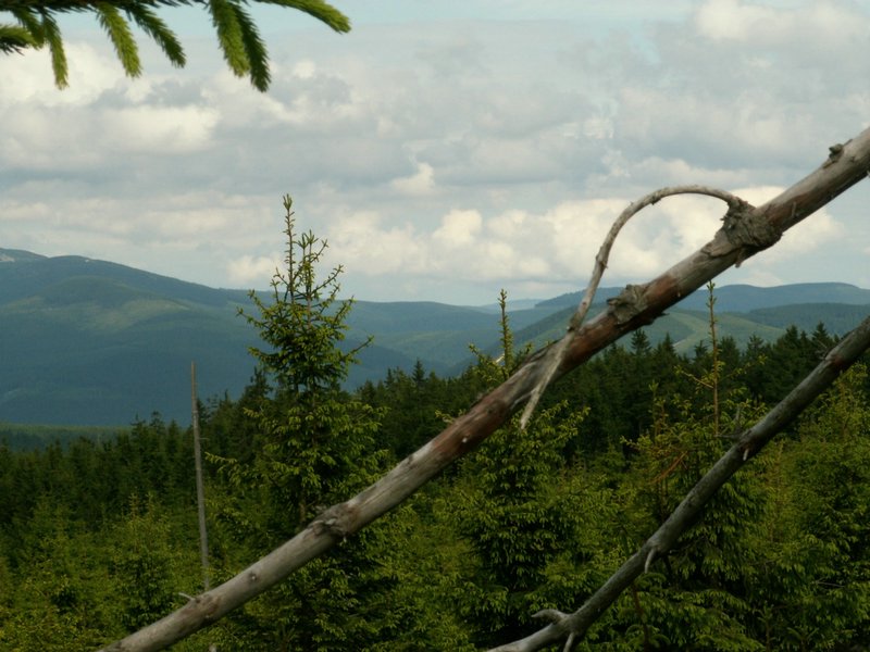 090610_PICT0118.JPG