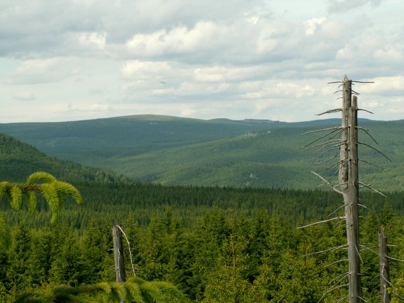 090610_PICT0123.JPG