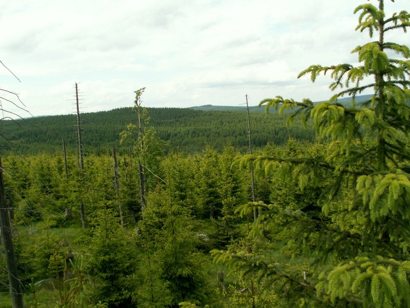 090610_PICT0128.JPG
