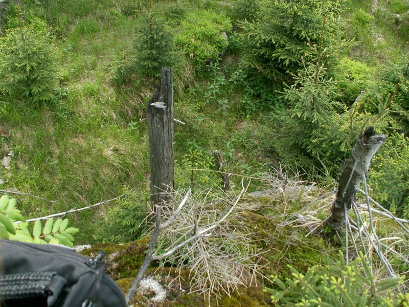 090610_PICT0134.JPG
