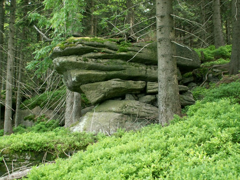 090610_PICT0138.JPG