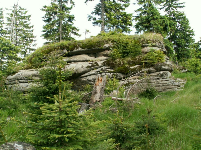 090610_PICT0141.JPG