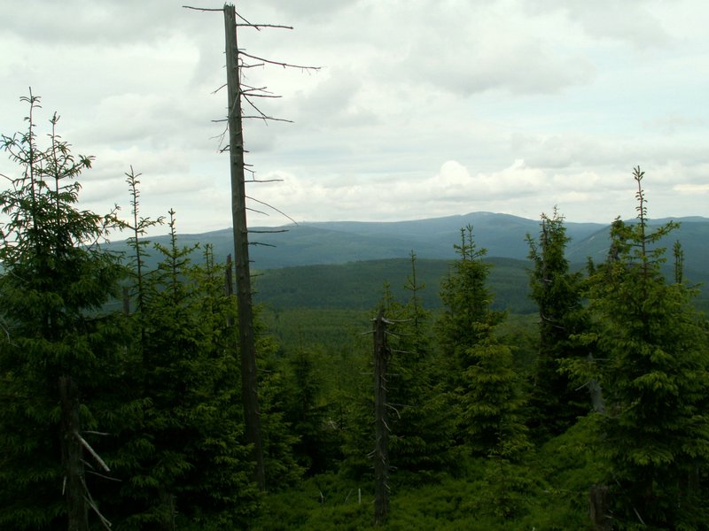 090610_PICT0149.JPG