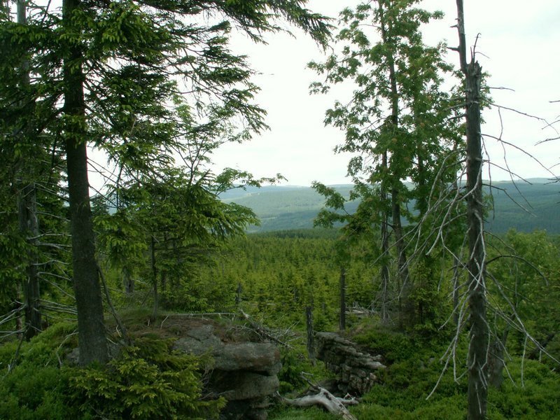 090610_PICT0151.JPG