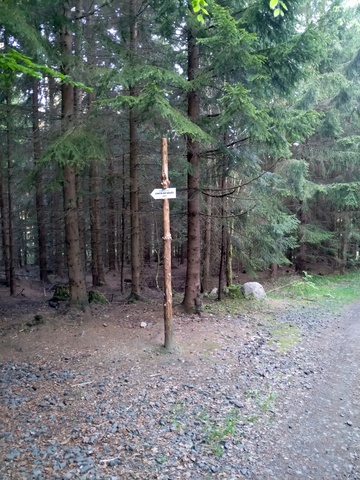 Image 20210606_062306.jpg