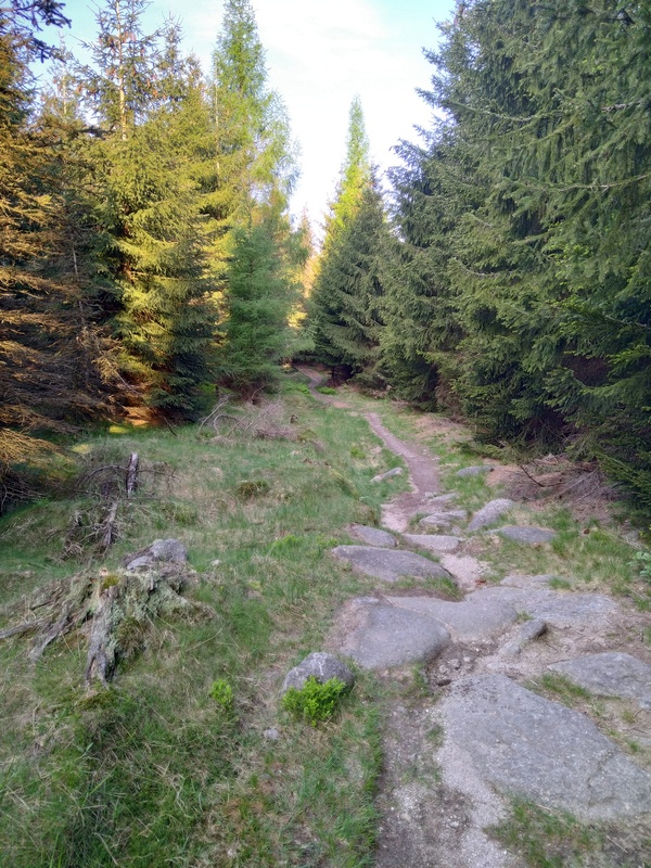Image 20210607_063233.jpg