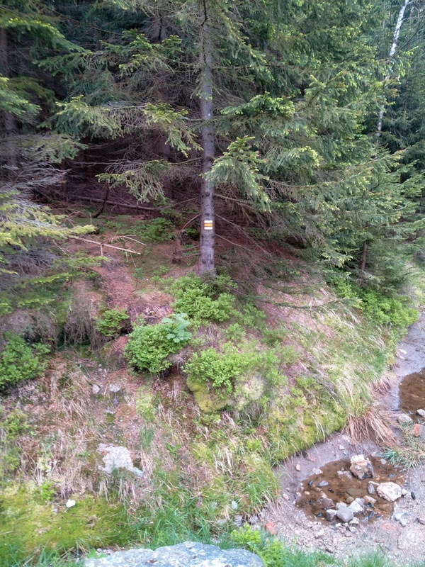 Image 20210611_063737.jpg