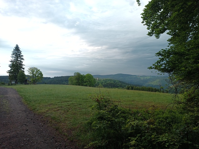 Image IMG_20250601_060402_324.jpg