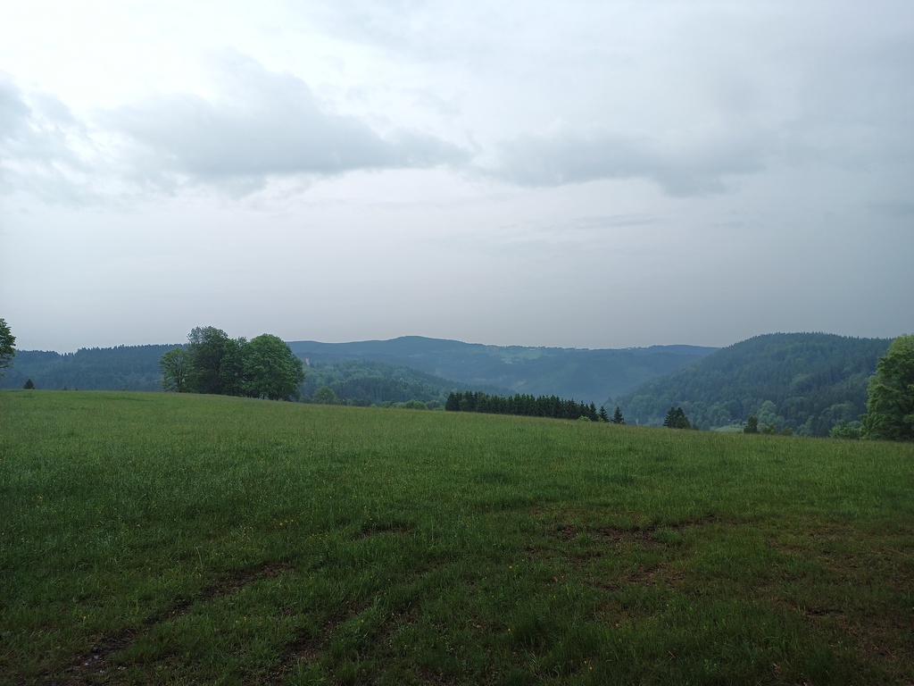 Image IMG_20250603_060701_552.jpg