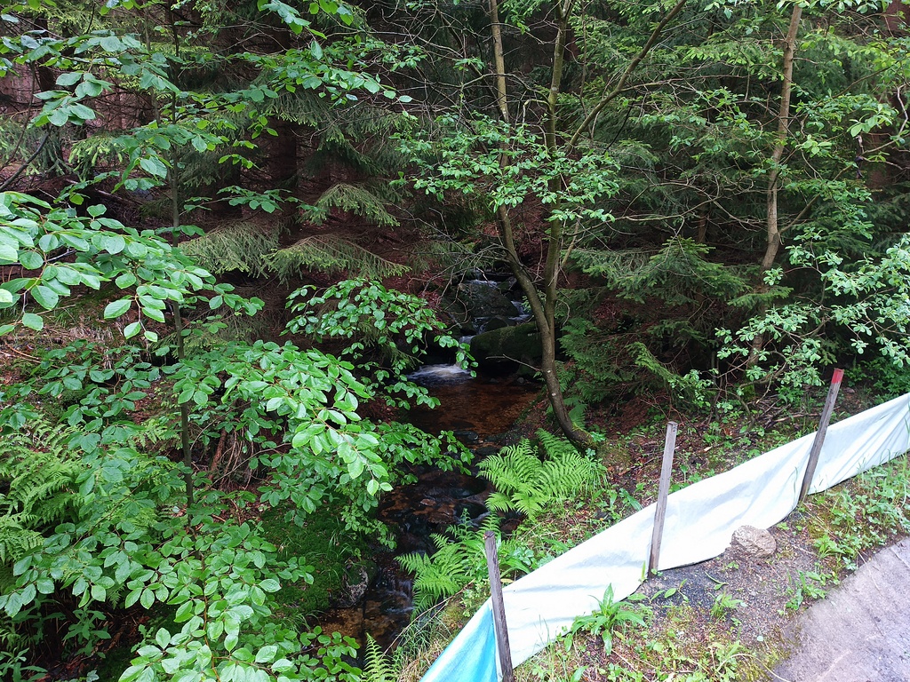 Image IMG_20250606_095720_394.jpg