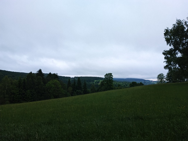 Image IMG_20250607_054017_145.jpg